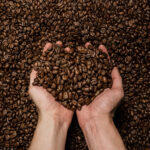 Cafe-de-Honduras-Cafe-Maya