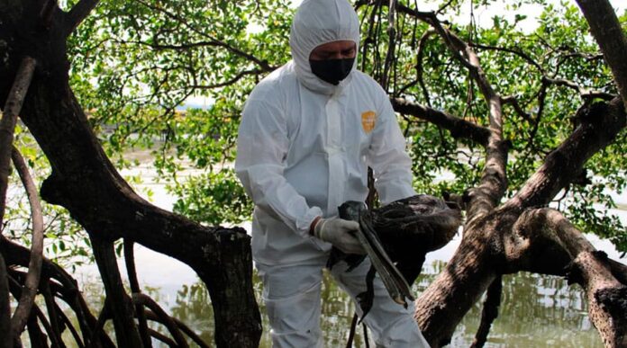 fc968e17-c83e-4ca8-8805-dba7160d1b60