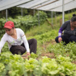undp_cr_NDC_Panel_Cambio_Climatico_Genero_20
