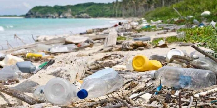 WhatsApp-Image-2023-04-13-at-6.34.55-AM-750x375