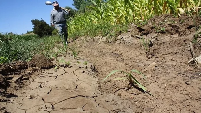 sequia-campo-uruguay-777x437jpg