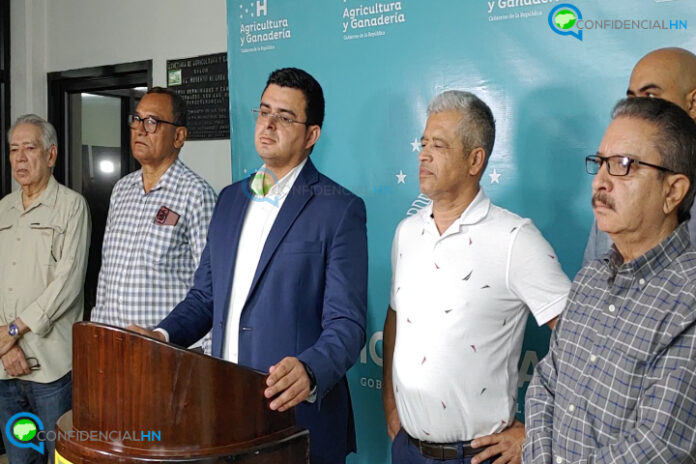 Secuencia 01.Imagen fija218