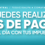 PLANES AMDC -_980x250