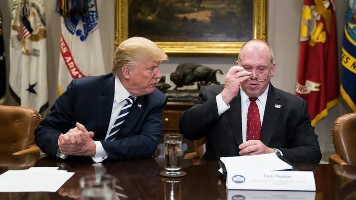 WhatsApp Image 2024-11-11 at 2.38.09 PM