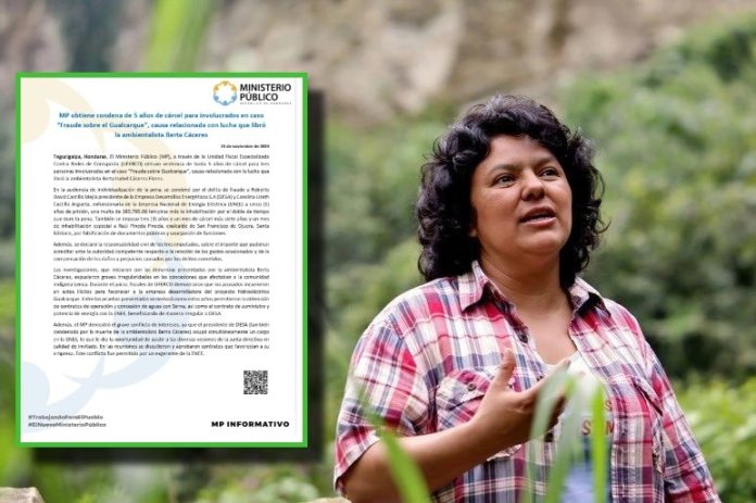 WhatsApp Image 2024-11-15 at 12.44.08 PM