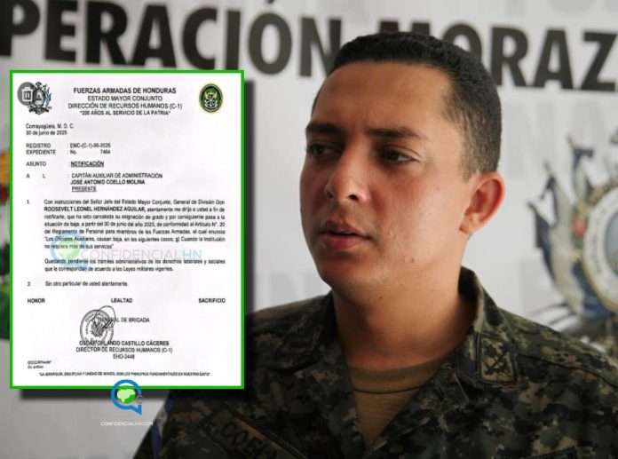 WhatsApp Image 2025-07-03 at 11.33.17 AM