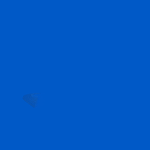 spot_img