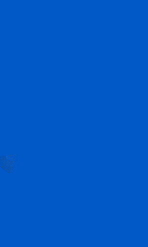 spot_img