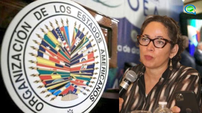 WhatsApp Image 2025-11-26 at 10.43.19 AM