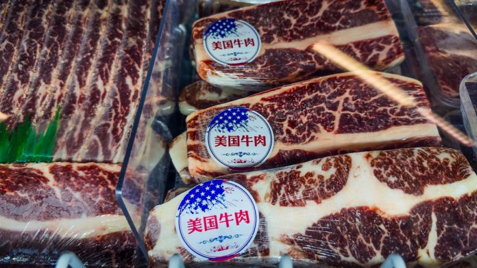 69552ea859bf5b326257bf91