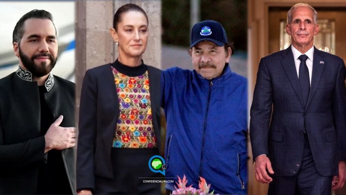 WhatsApp Image 2026-02-19 at 1.03.20 PM