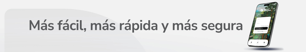 spot_img